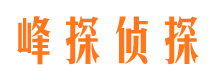 湘西市私人调查